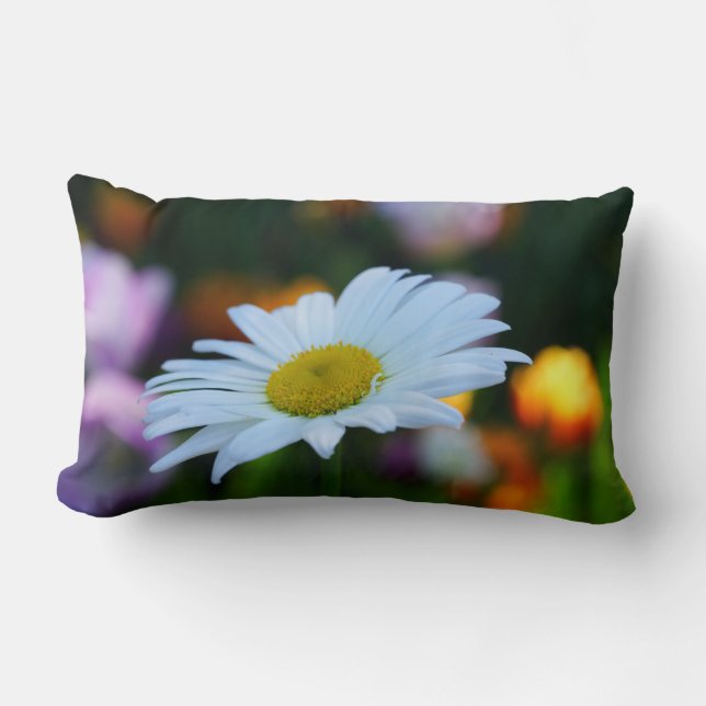 Daisy Liebe! Lendenkissen (Vorderseite)