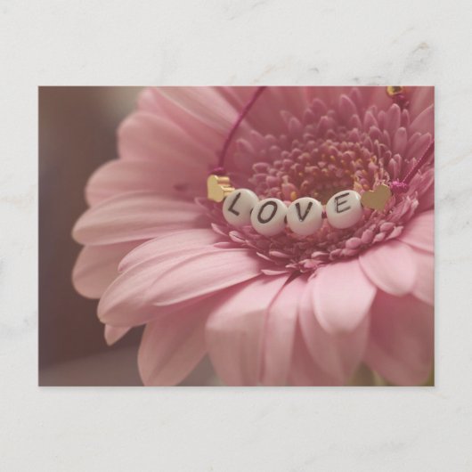 Daisy Liebe Postkarte (Vorderseite)