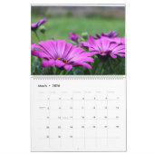 Daisy lila magenta Foto Großeltern Kalender (Mär 2026)
