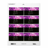 DAISY, lila violett (Vorne)