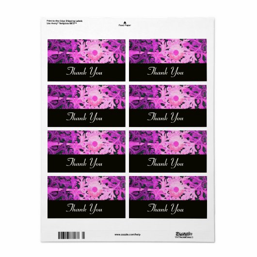 DAISY, lila violett (Vorne)