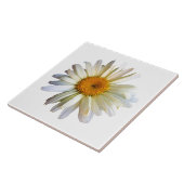 Daisy Looking Up Fliese (Seite)