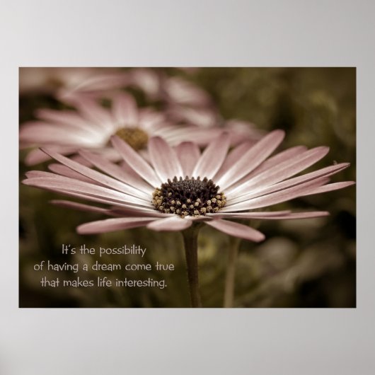Daisy Macro Poster (Vorne)