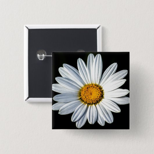 Daisy Mae Button (Vorne & Hinten)