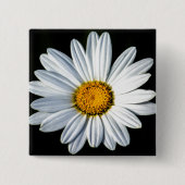 Daisy Mae Button (Vorderseite)