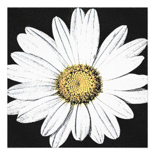 Daisy Mae Fotodruck