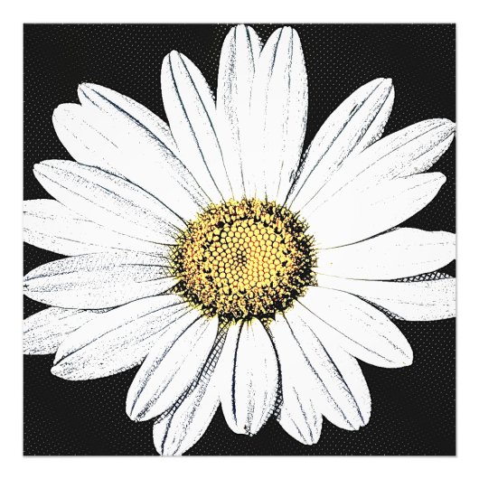 Daisy Mae Fotodruck (Vorne)