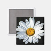 Daisy Mae Magnet (Vorderseite/Rückseite)