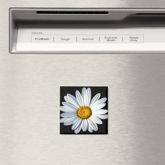 Daisy Mae Magnet (In Situ (Geschirrspüler))