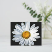 Daisy Mae Postcard Postkarte (Stehend Vorderseite)