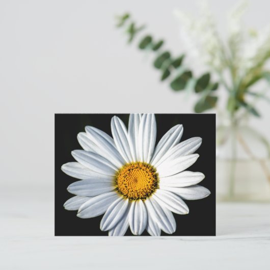 Daisy Mae Postcard Postkarte (Stehend Vorderseite)