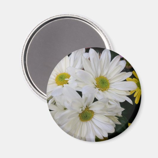 Daisy Magnet (Vorderseite/Rückseite)