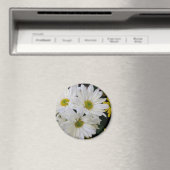 Daisy Magnet (In Situ (Geschirrspüler))