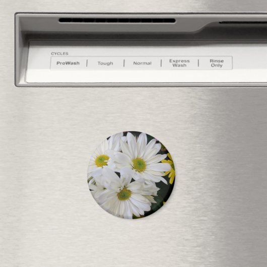 Daisy Magnet (In Situ (Geschirrspüler))