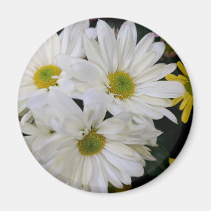 Daisy Magnet