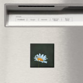 Daisy Magnet (In Situ (Geschirrspüler))