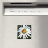 Daisy Magnet (In Situ (Geschirrspüler))