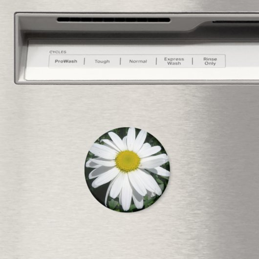 DAISY MAGNET (In Situ (Geschirrspüler))