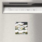 Daisy Magnet (In Situ (Geschirrspüler))