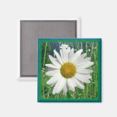 Daisy Magnet (Vorderseite/Rückseite)