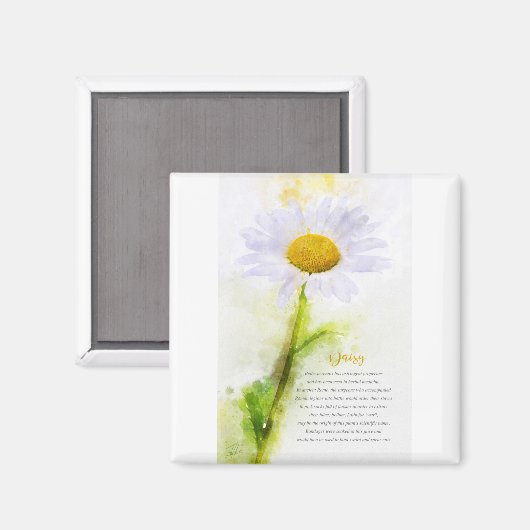 Daisy Magnet (Vorderseite/Rückseite)