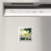 Daisy Magnet (In Situ (Geschirrspüler))