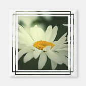 Daisy Magnet (Vorne)