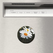 Daisy Magnet (In Situ (Geschirrspüler))