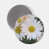 Daisy Magnet (Vorderseite/Rückseite)