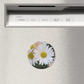 Daisy Magnet (In Situ (Geschirrspüler))