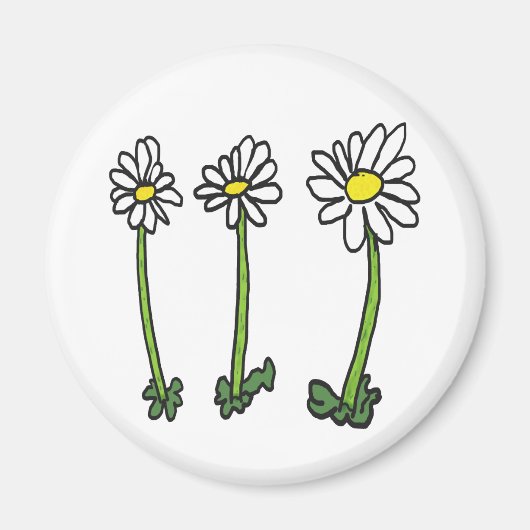 Daisy Magnet (Vorne)