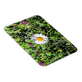 Daisy Magnet (Rechte Seite)