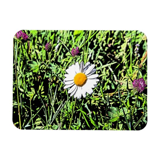 Daisy Magnet (Horizontal)