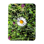 Daisy Magnet (Vertikal)