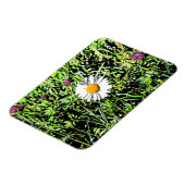 Daisy Magnet (Linke Seite)