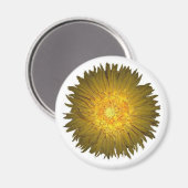Daisy Magnet (Vorderseite/Rückseite)