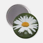 Daisy Magnet (Vorderseite/Rückseite)