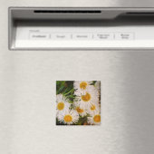 Daisy Magnet (In Situ (Geschirrspüler))