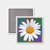 Daisy-Magnet Magnet (Vorderseite/Rückseite)