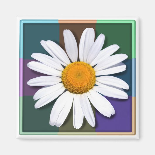 Daisy-Magnet Magnet (Vorne)