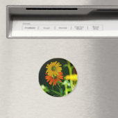 Daisy-Magnet Magnet (In Situ (Geschirrspüler))