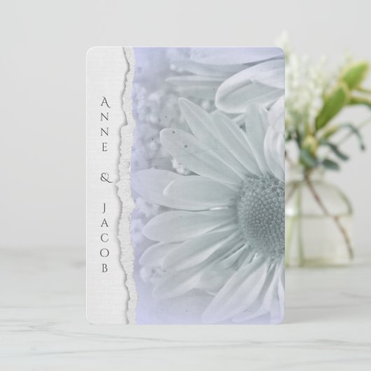 Daisy Makro in lila Farbe mit abgerissenem Papier Einladung (Stehend Vorderseite)