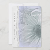 Daisy Makro in lila Farbe mit abgerissenem Papier Einladung (Vorderseite)