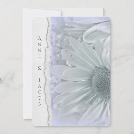 Daisy Makro in lila Farbe mit abgerissenem Papier Einladung (Vorderseite)