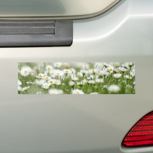 Daisy Meadow Autoaufkleber (Auf Auto)