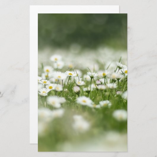Daisy Meadow Briefpapier (Vorne/Hinten)