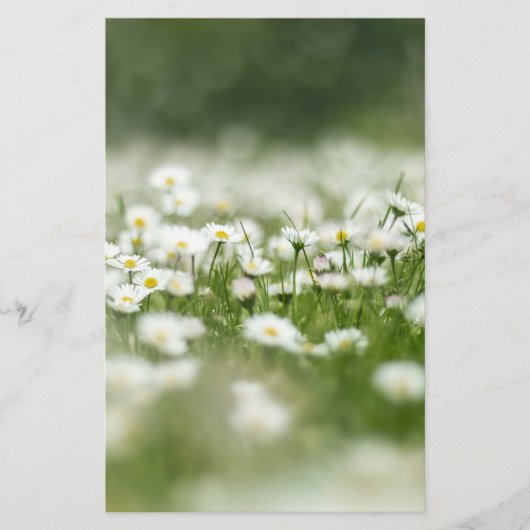 Daisy Meadow Briefpapier (Vorderseite)