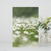 Daisy Meadow Briefpapier (Stehend Vorderseite)