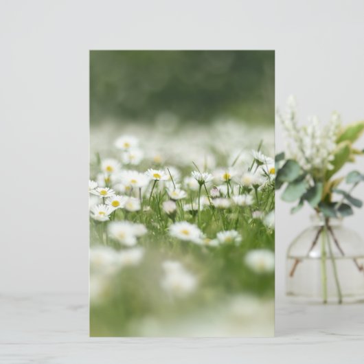 Daisy Meadow Briefpapier (Stehend Vorderseite)