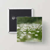 Daisy Meadow Button (Vorne & Hinten)